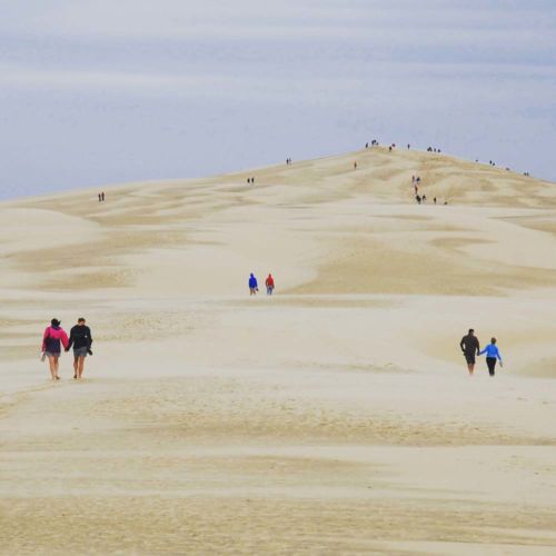 pilat dune