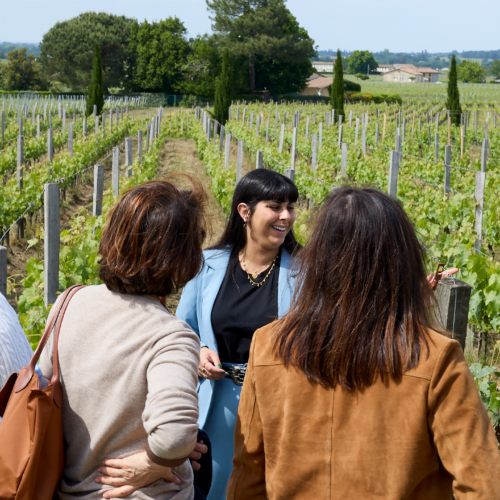 Visit winery Saint-émilion